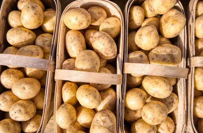 What Potatoes to Use for French Fries