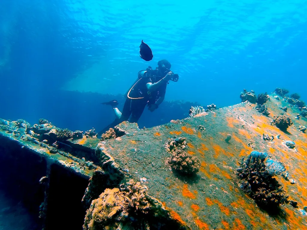Diving into the Depths: Exploring Underwater Wonders